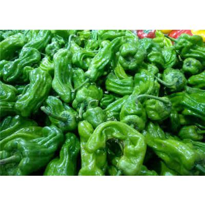 张家港专业生鲜配送优质公司 苏州禾子生态食品供应
