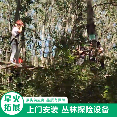 乡村景区丛林穿越 树上穿梭冒险项目 观光娱乐桥