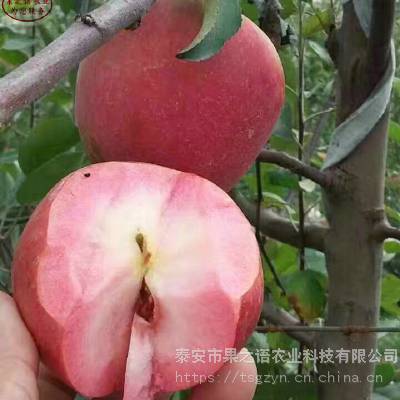 ƻ籨ۡƻƷּ۸
