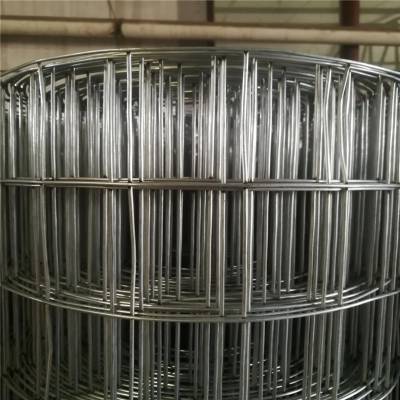 不锈钢电焊网 荷兰网电焊网 热镀锌电焊网 安平电焊网 荷兰电焊网