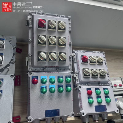防爆配电箱电源仪表控制接线按钮触摸屏空箱柜照明开关防雨防粉尘