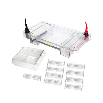 科研用L-HET-13MD中型水平核酸蛋白电泳槽 蛋白质PCR电泳仪器设备