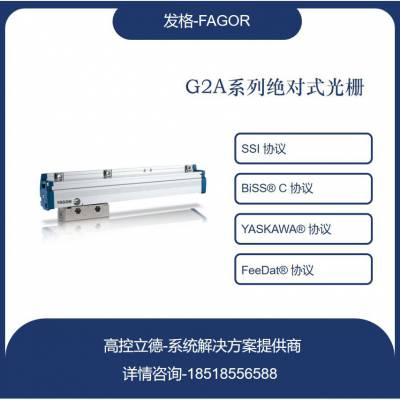 ?FAGORֱ***դ G2AF10-120-5-A-T
