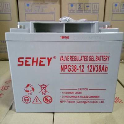 NPG38-12 12V38AH ǦUPSطȫϵͳ