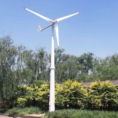广东晟成30千瓦分布式风力发电机30KW大功率发电机
