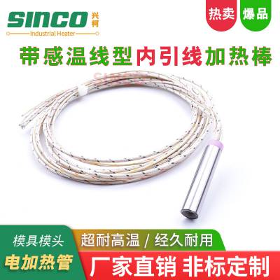 台湾电加热管 模具单头电加热管干烧型发热管加热棒 电加热管进口 不锈钢材质选兴柯(SINCO)
