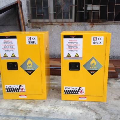 供应全钢气瓶化学品安全柜，安全柜，个体防护用品安全柜