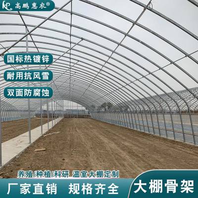 古田县獭兔太阳能温室钢结构异型大棚