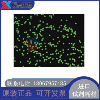 ThermoFluoro-Max绿色荧光微粒溶液60ml/90ml G25B G300B G400B