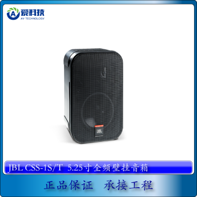 JBL CSS-1S/T音响 壁挂音箱 会议店铺背景音乐餐厅健身