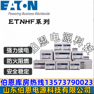 ETNHF12-430W 12V120AHֱ UPS Ӧ ϵͳ