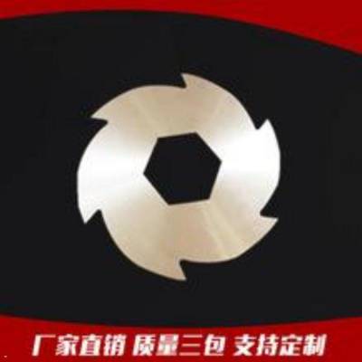 耐磨撕碎机刀片 塑料破碎机刀片 切碎机刀片 h13材料