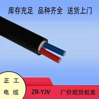 四川内江YJV-2*50电缆规格