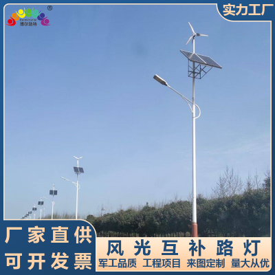 博尔勃特 10米风光互补路灯 太阳能路灯 市电路灯