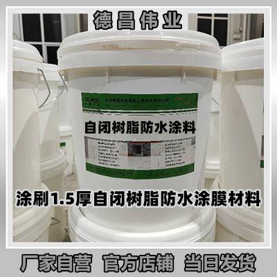 自闭树脂防水涂料 河道护坡或水池内壁临水面涂膜1.5厚 德昌伟业