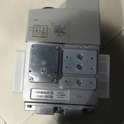 ԭװDUNGS˹MB-ZRDLE420 B01 S20ŷȼջ