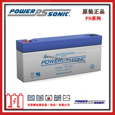 PowerSonicPS-1229L 12V2.90AH ʽǦάAGM