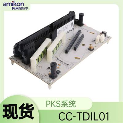 8C-PDISA1 PKS C300
