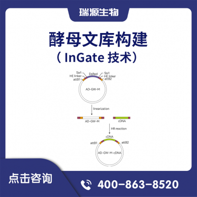 ĸĿ⹹In-Gate 