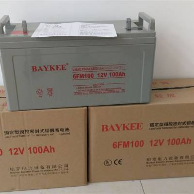 柏克蓄电池6FM150铅酸12V150AH免维护蓄电池UPS机房电源EPS应急供电系统