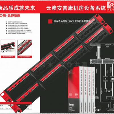 安普康/AMPCOM 六类配线架24口 CAT6网线配线架 50U镀金接口1U机架式机柜工程网络跳线