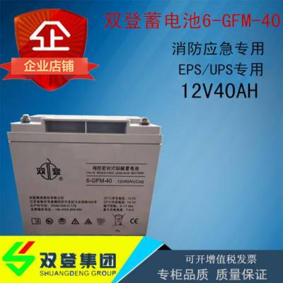 双登蓄电池6-GFM-40铅酸免维护12V40AH直流屏应急电源配套