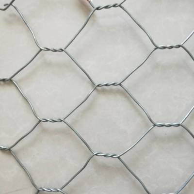 供应pvc覆塑石笼网pvc箱型 石笼网拧花重型六角网
