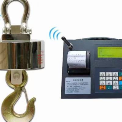 上海50吨电子吊秤定制 推荐咨询 无锡世嘉称重设备供应