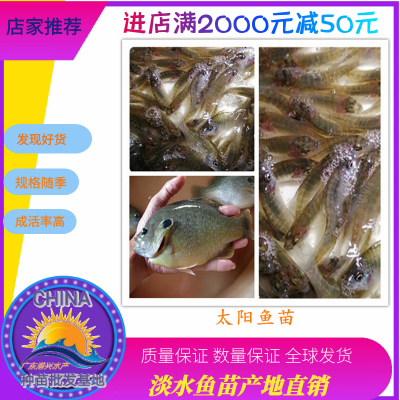 籨 ̫ ̫ ˮ  ô