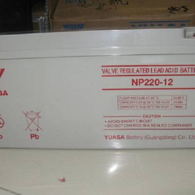 汤浅蓄电池12V220AH NP220-12 铅酸免维护蓄电池 机房UPS/EPS后备不间断电源