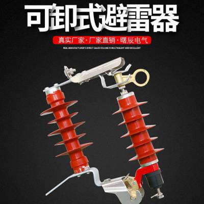 四川10KV可拆卸式避雷器HY5WS-17/50脱扣式厂家