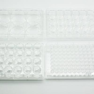 上海百千生物I型胶原包被24孔培养板96孔胶原包被培养板贴壁预包被96孔板