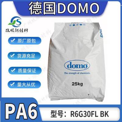 供应尼龙 PA6 德国DOMO r6g30fl bk 注射成型 抗撞击pa6