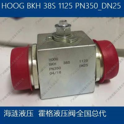 HOOG BKH R3/8K BALL VALVES