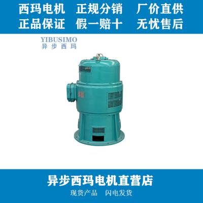 JSL系列立式三相异步电机JSL14-12 155KW 380V B5轴流泵电动机