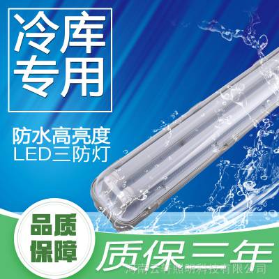 1.2LED֧ܵT8˫֧36WƷ͵
