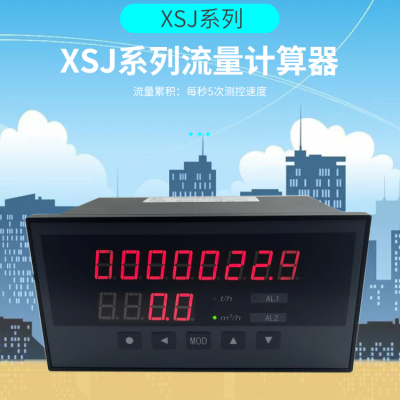 蒸汽流量计 XSJ-AH2VB1V0流量积算仪 饱和蒸汽 累积计算