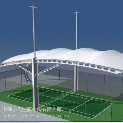 内蒙古阿拉善盟阿拉善右旗商业街膜结构ETFE膜结构施工
