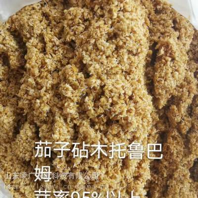 托鲁巴姆 厂家批发 茄子砧木 嫁接茄子