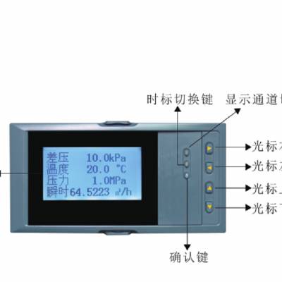 液晶流量积算仪 型号:NHR-6660库号：M135909