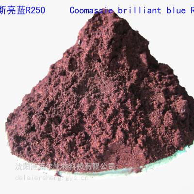 分析纯高含量***考马斯亮蓝R250 cas6104-59-2现货低价