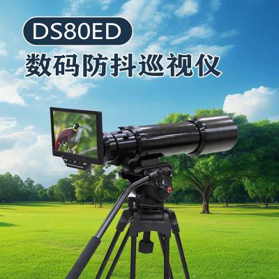 ӼSeeGics DS80EDѲǵѲ찲Ѳ