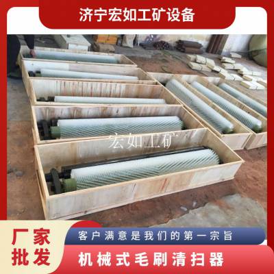机械式毛刷清扫器 规格JQS-0.8 尼龙 型号B1000 被动