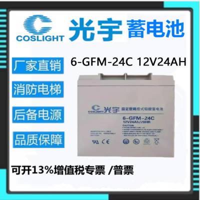 光宇蓄电池6-GFM-24C 12V24AH 消防应急直流屏电力设备通讯基站