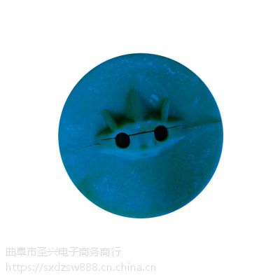 ?南京管链输送机盘片 知名工程塑料