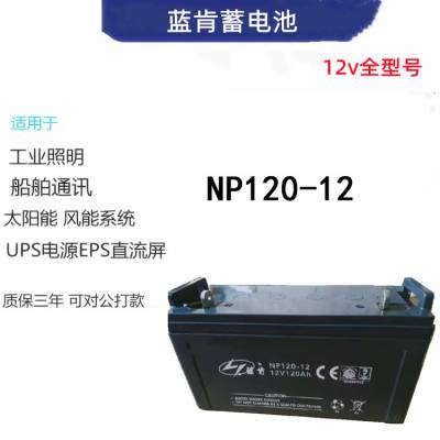 蓝肯蓄电池NP120-12阀控免维护12V120AH直流屏备用电源