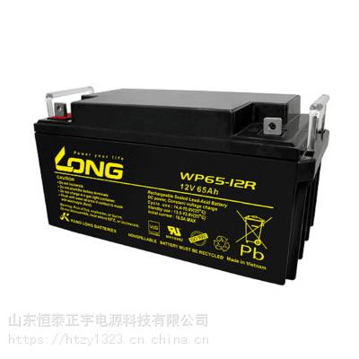 ¡ WPL200-12N ̨LONG 12V200AH UPSֱ