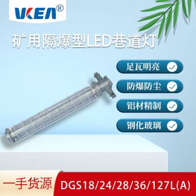 DGS18/127L(A) 127V 长形防爆照明灯 隔爆型长款