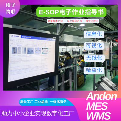 E-SOP 电子厂看板管理 作业指导书