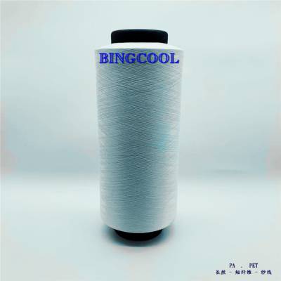 ʯά˿е˿BINGCOOL 